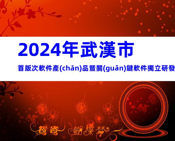 2024年武漢市首版次軟件產(chǎn)品暨關(guān)鍵軟件獨立研發(fā)企業(yè)申報要求、申報程序及注意事項